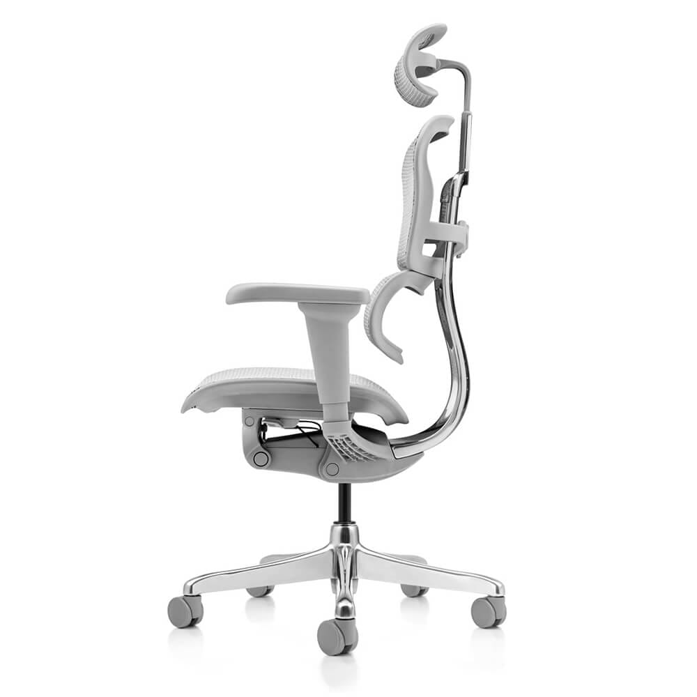 เก้าอี้เพื่อสุขภาพ DF PROCHAIR รุ่น Ergo Elite Ultra สีเทา